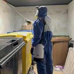 1707 SP&Oacute;ŁKA Z OGRANICZONĄ ODPOWIEDZIALNOŚCIĄ - Zwalczanie Pluskiew Olsztyn