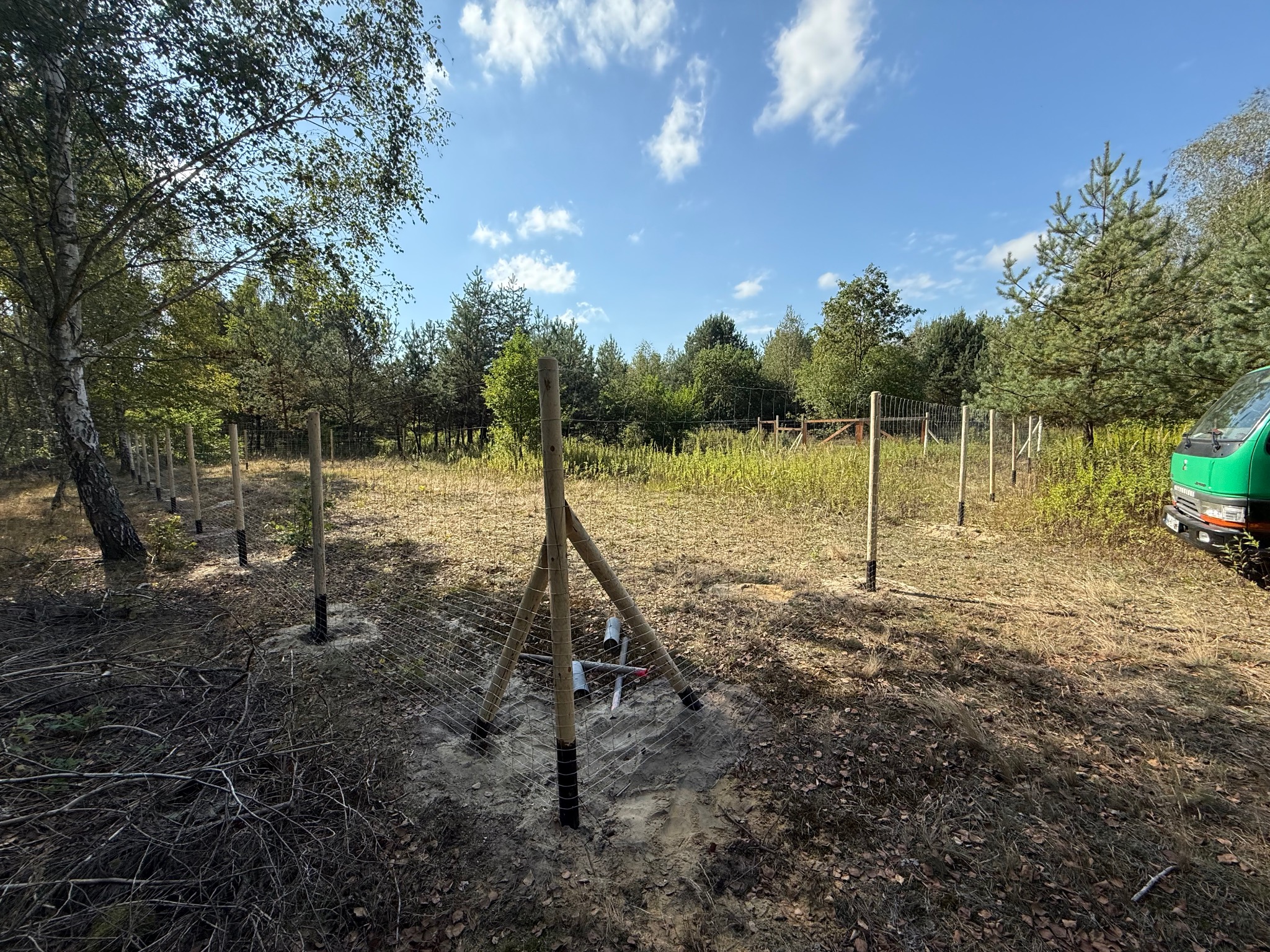 Montaż siatki ogrodzeniowej na leśnej działce. Widoczne słupki i częściowo naciągnięta siatka. W tle drzewa i błękitne niebo.