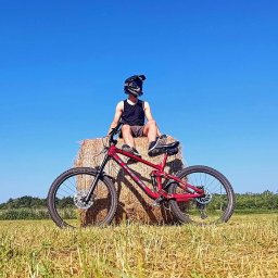 Web Nest - Kampania Reklamowa w Internecie Złotokłos