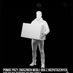 Wycinka drzew Włocławek 1