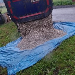 Grundbud-kop - 