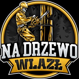 Na Drzewo Wlazł Jakub Szczech - Świetna Wycinka Drzew Łęczyca