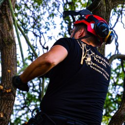 Wycinka drzew Leźnica Mała 1