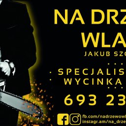 Wycinka drzew Leźnica Mała 4
