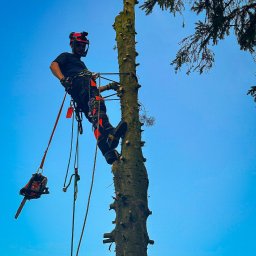 Na Drzewo Wlazł Jakub Szczech - Arborysta w kasku, na linie, przy pniu obciętego drzewa, z piłą łańcuchową w uprzęży, na tle błękitnego nieba.
