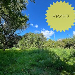 Robimy Robotę ROBERT BALCERAK - Zarośnięty trawnik z wysoką trawą i chwastami, widok z poziomu gruntu, fragment drzew i krzewów w tle, na niebie żółty napis 'PRZED' sugerujący stan przed koszeniem.