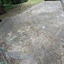 Robimy Robotę ROBERT BALCERAK - Zaniedbana, okrągła kostka brukowa z chwastami, wymagająca czyszczenia. Widoczne narzędzia i pojemnik, sugerujące przygotowania do pracy.