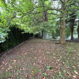 Robimy Robotę ROBERT BALCERAK - Jesienny ogród z drzewami liściastymi i iglakami. Na ziemi leżą opadłe liście. W tle widoczna siatka ogrodzeniowa i sylwetka osoby.