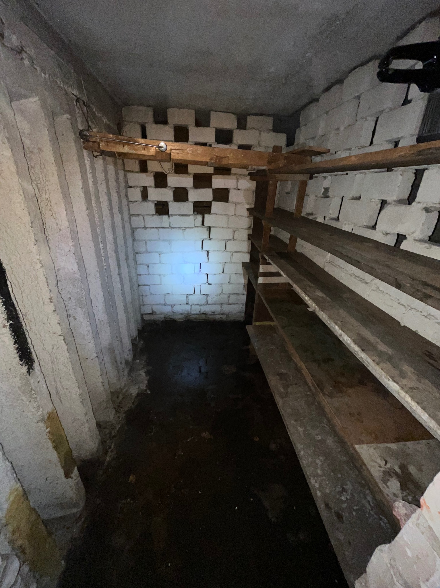 Zaniedbane, ciemne pomieszczenie piwniczne z wilgocią na podłodze, murowanymi ścianami i drewnianymi półkami. Widoczna pleśń i grzyb na ścianach.