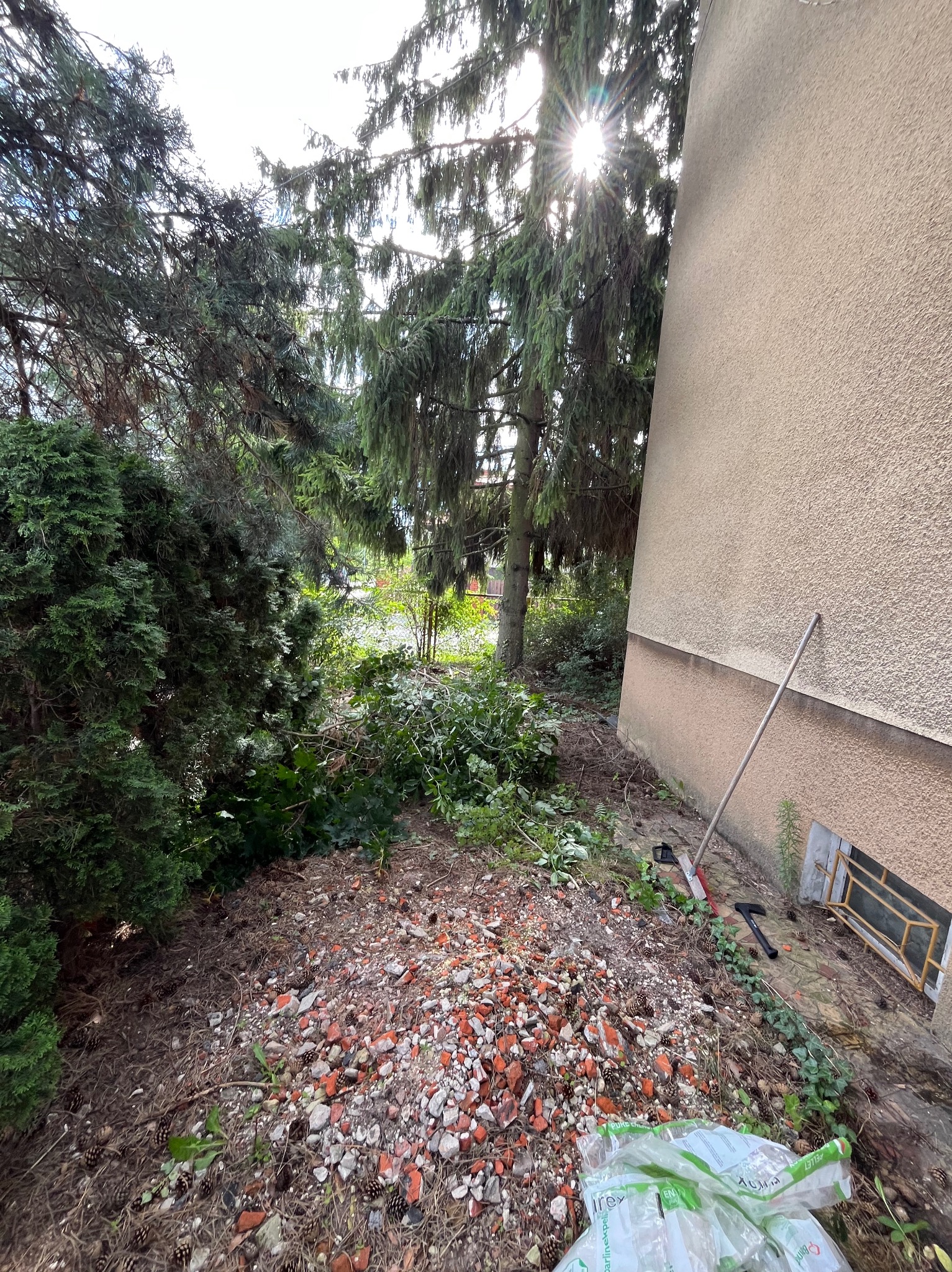 Teren po przycince drzew i krzewów z gruzem, grabiami i workami na odpady przy budynku. Słońce przebija przez gałęzie.