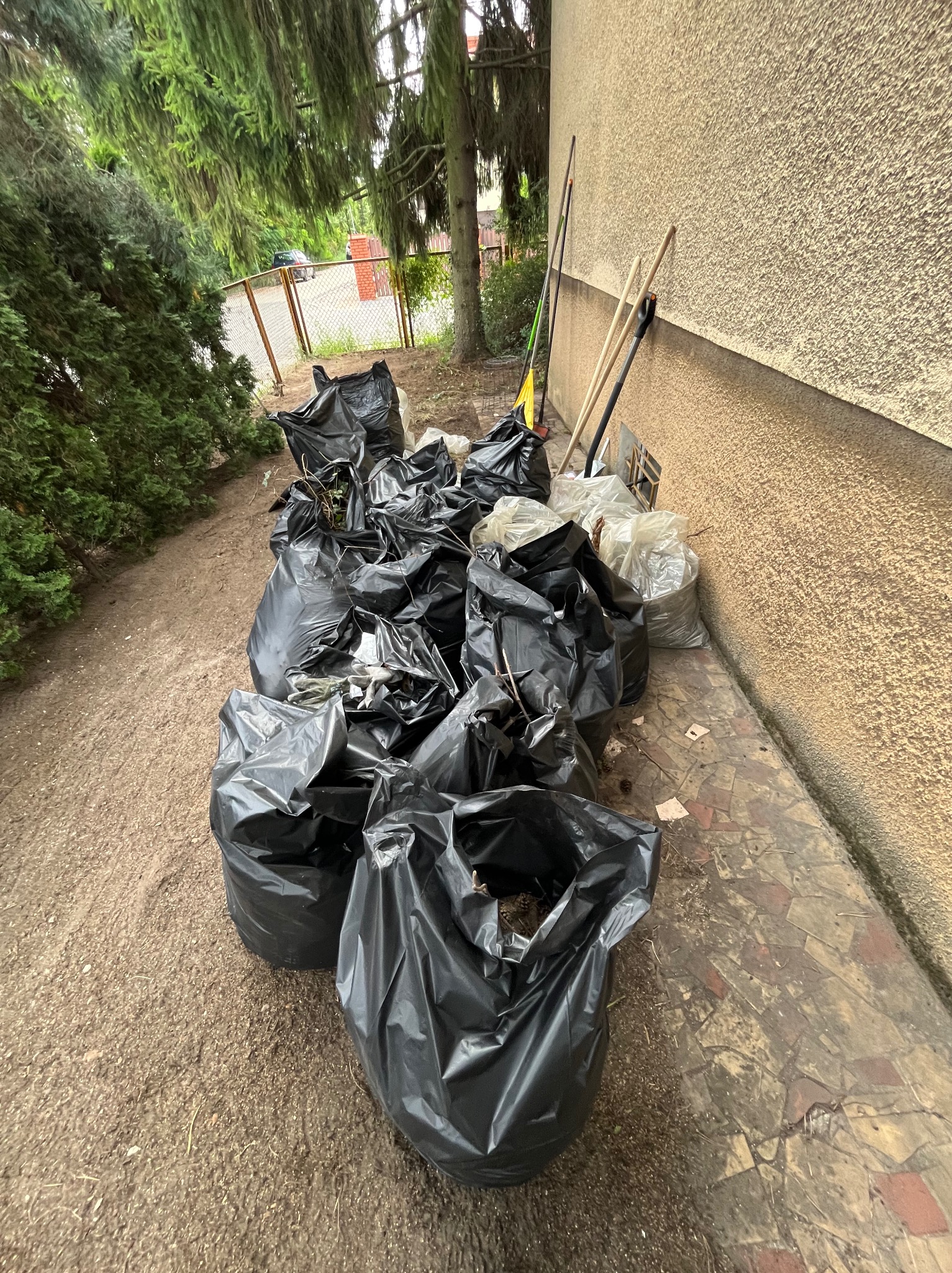 Stos czarnych worków na śmieci z liśćmi i gałęziami obok ściany budynku i ogrodzenia. Grabie i inne narzędzia opierają się o ścianę.