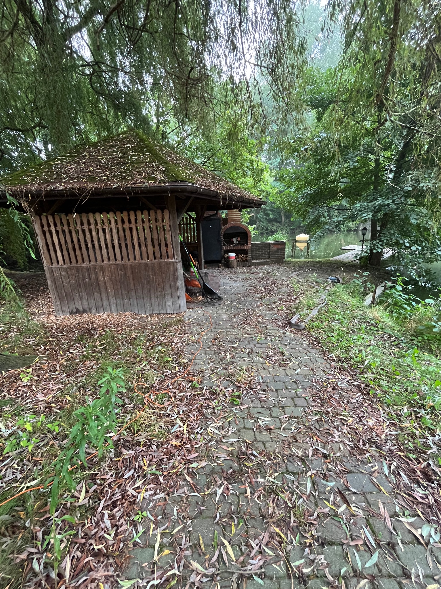 Zarośnięta altana z grillem i ścieżką z kostki, pokryta opadłymi liśćmi. Widok na staw w tle. Potrzebne sprzątanie i prace ogrodnicze.