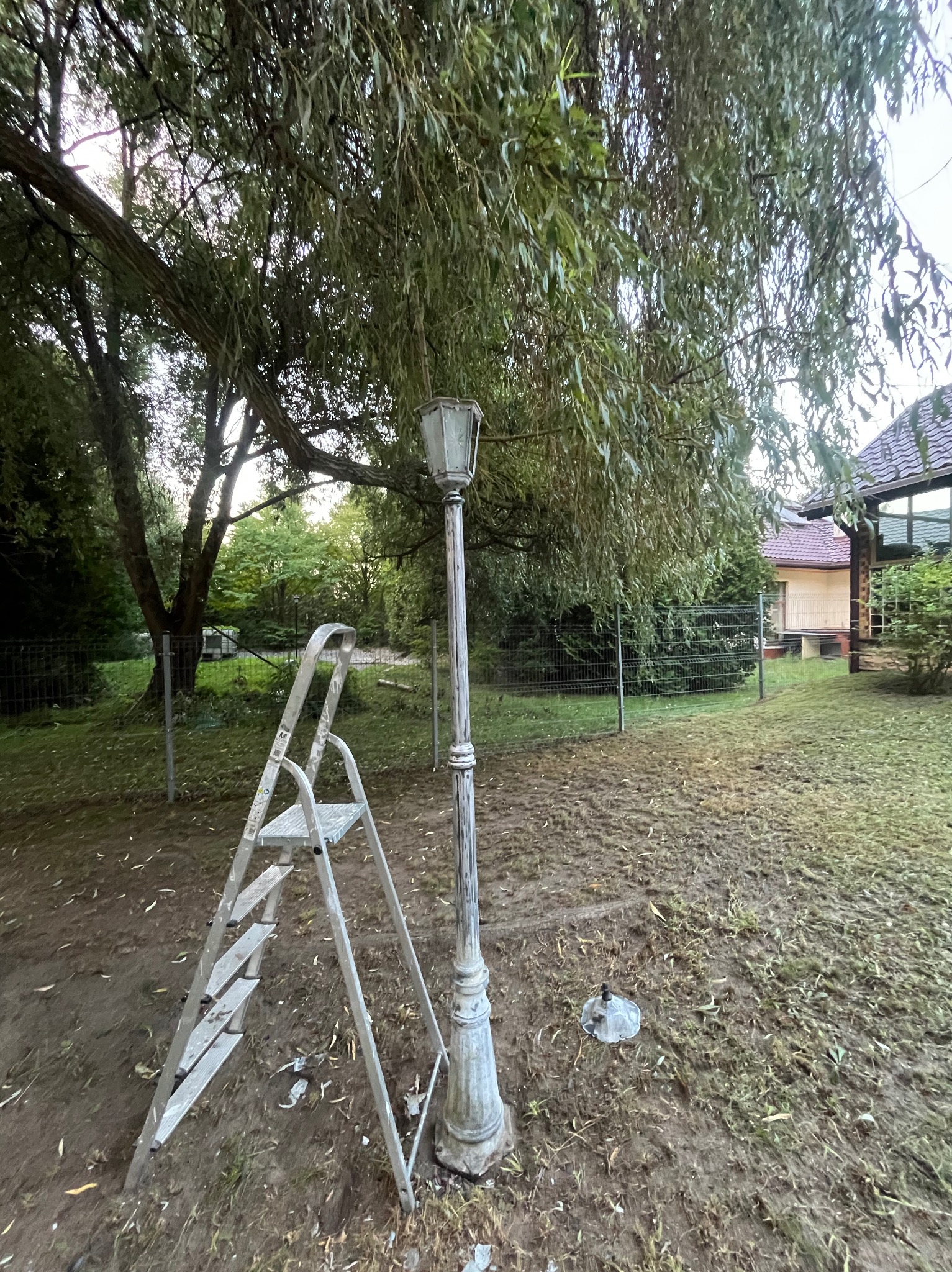Drabina oparta o latarnię uliczną pod rozłożystym drzewem na trawniku z opadłymi liśćmi. Widoczny fragment domu w tle.