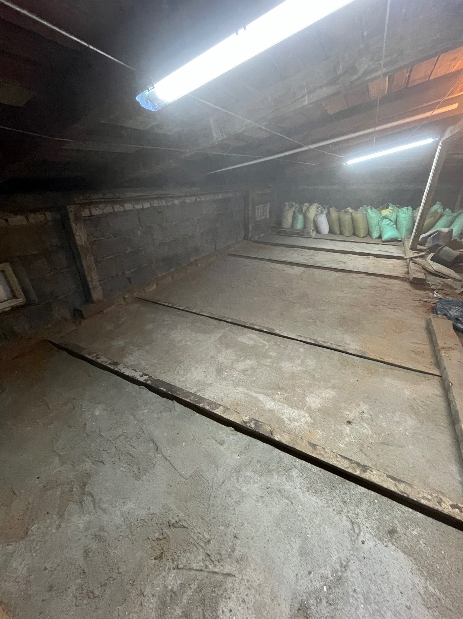 Zaniedbane pomieszczenie piwniczne z workami w tle, oświetlone lampą jarzeniową. Widoczne ślady wilgoci i zabrudzeń na podłodze i ścianach.