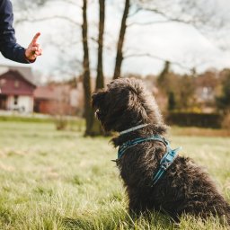 Szkolenia Katowice 3