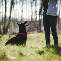 Szkolenia Katowice 4