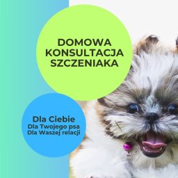 Szkolenia Katowice 2