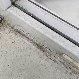 Sprzątanie mieszkań Łódź 2