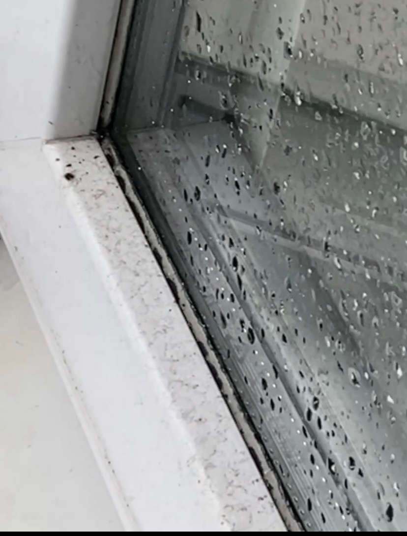 Na tym zdjęciu „przed” i „po”.