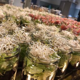 Catering świąteczny Olsztyn 1