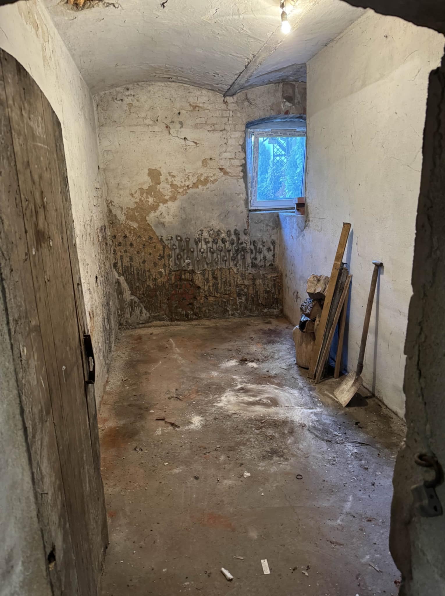 Zaniedbane wnętrze piwnicy z widocznymi śladami wilgoci na ścianach, narzędziami opartymi o ścianę i oknem w tle. Widoczne ślady pleśni i odpadający tynk.