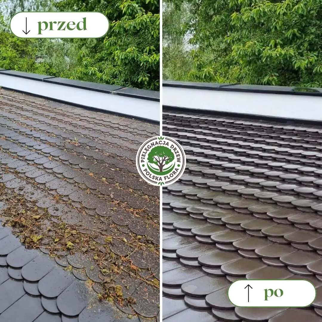 Zdjęcie dachu krytego łuską przed i po czyszczeniu z mchu i zanieczyszczeń, z widoczną zielenią drzew w tle.