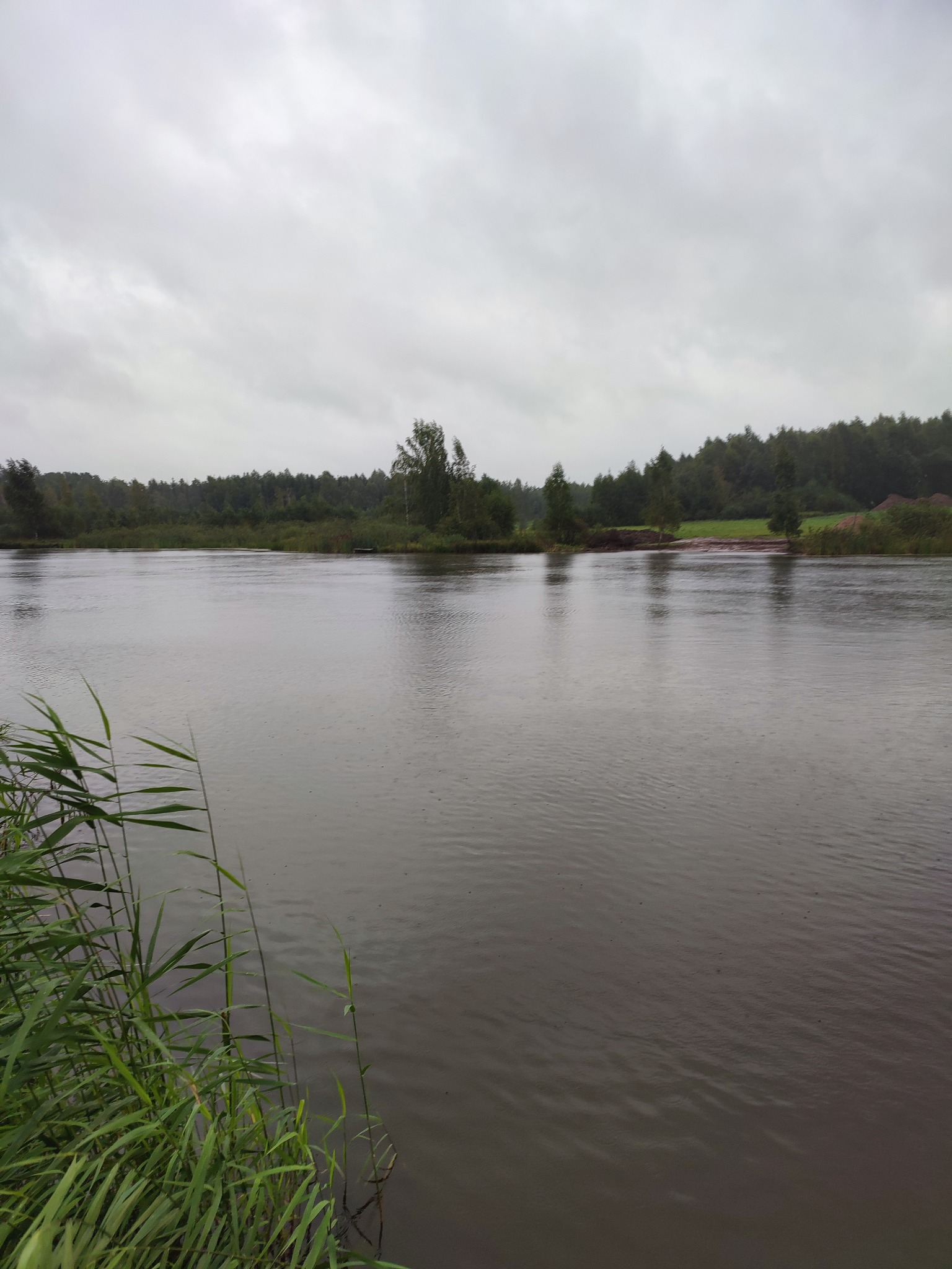 Szary, pochmurny dzień nad rzeką z zielonymi trzcinami na pierwszym planie i lasem w oddali. Woda lekko wzburzona, widoczne krople deszczu.