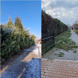 Koszenie trawy Lublin 2