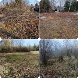 ExtremClin - Kompozycja czterech kadrów: sterta gałęzi, teren po wycince, trawnik z liśćmi i zarośnięty teren. Prezentacja efektów porządkowania zieleni.