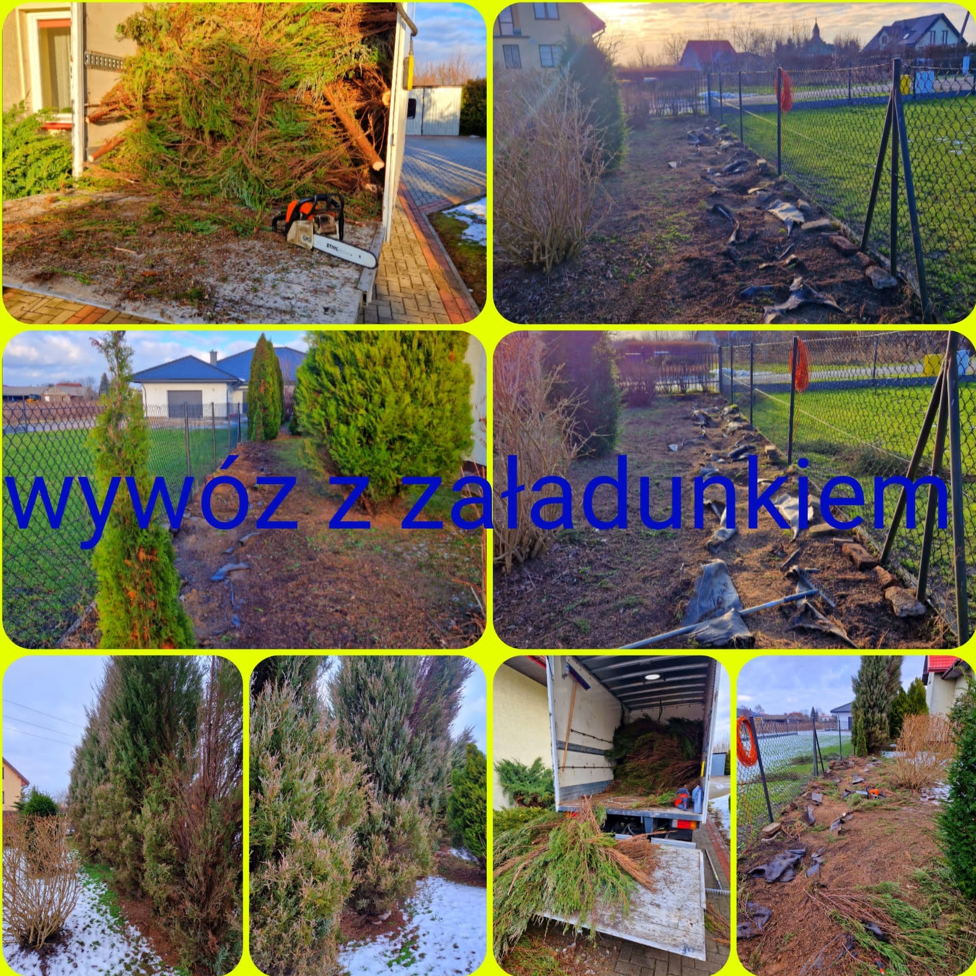 Kompozycja zdjęć z wycinki i załadunku gałęzi drzew iglastych do ciężarówki. Widoczny krajobraz po wycince w ogrodzie. Piła spalinowa Stihl na pace.
