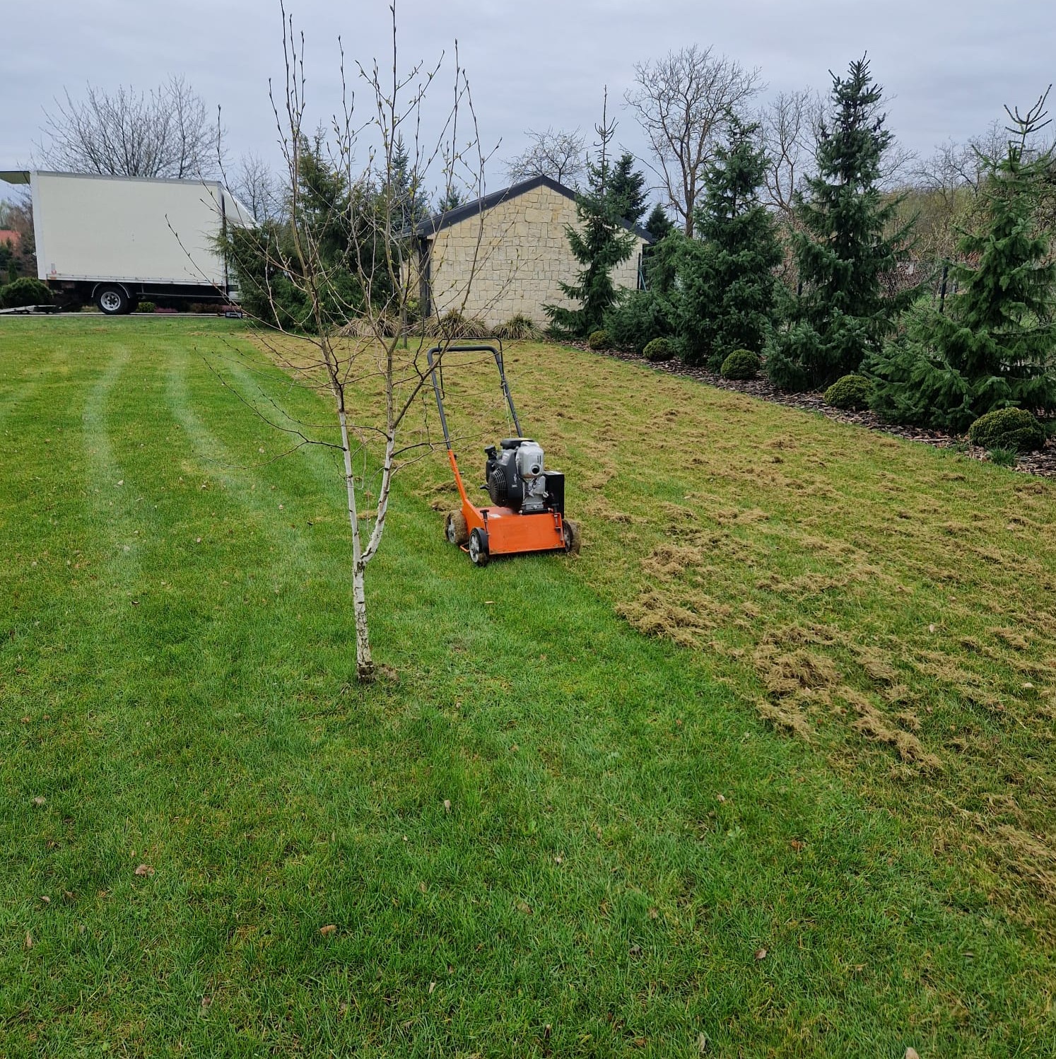 Pomarańczowa kosiarka spalinowa na trawniku, częściowo skoszona trawa, widoczny biały samochód dostawczy i budynek w tle. Świeżo skoszona trawa obok drzewa.