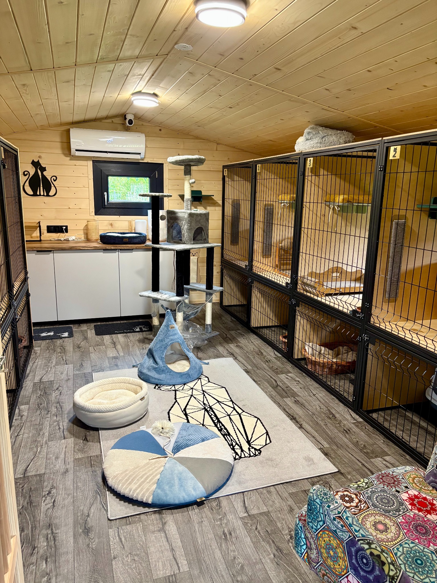 Koci Resort to wyjątkowe miejsce stworzone z myślą o kotach i ich opiekunach