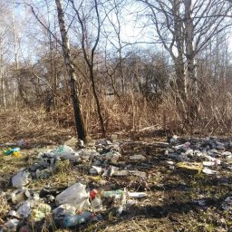 Opróżnianie mieszkań Poznań 3