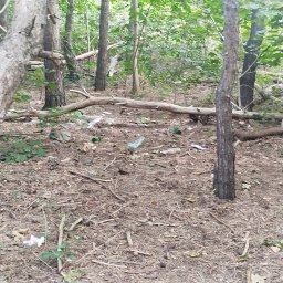 Opróżnianie mieszkań Poznań 2