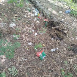 Opróżnianie mieszkań Poznań 1