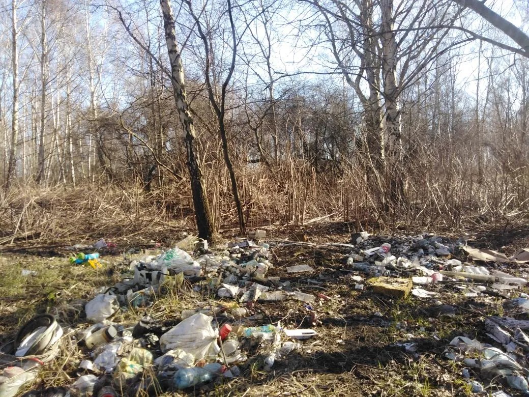 Zanieczyszczony teren leśny z widocznymi śmieciami, butelkami i odpadami. Nagromadzenie śmieci na ziemi, w tle drzewa bez liści, wczesna wiosna.