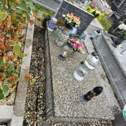 Sprzątanie mieszkań Sosnowiec 3