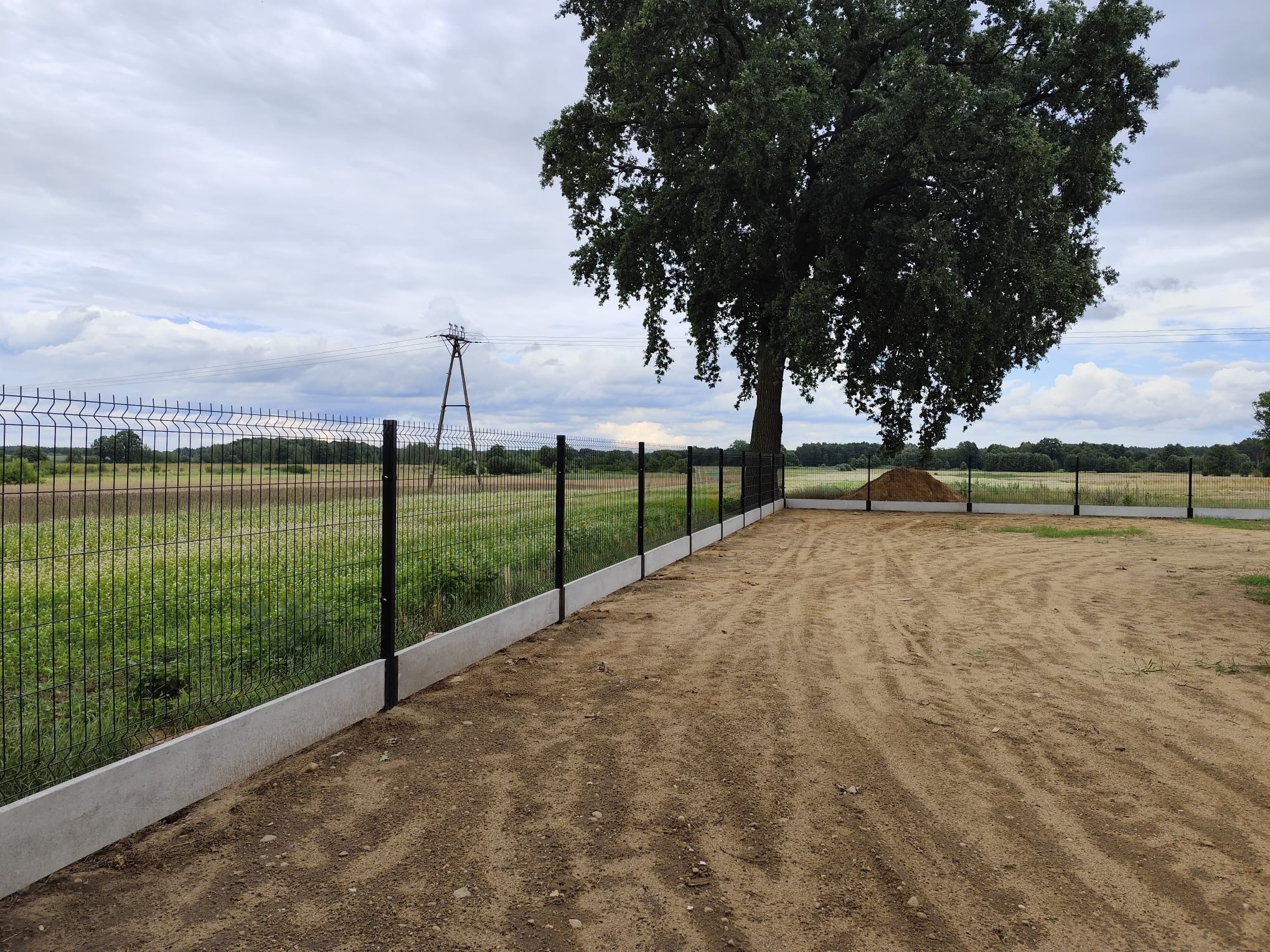 Nowoczesne ogrodzenie panelowe z podmurówką betonową, otoczone piaszczystym terenem i zielenią, z widocznym słupem energetycznym w tle i dużym drzewem po prawej stronie.