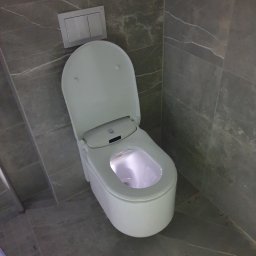 Glazurnik Świeszyno 3