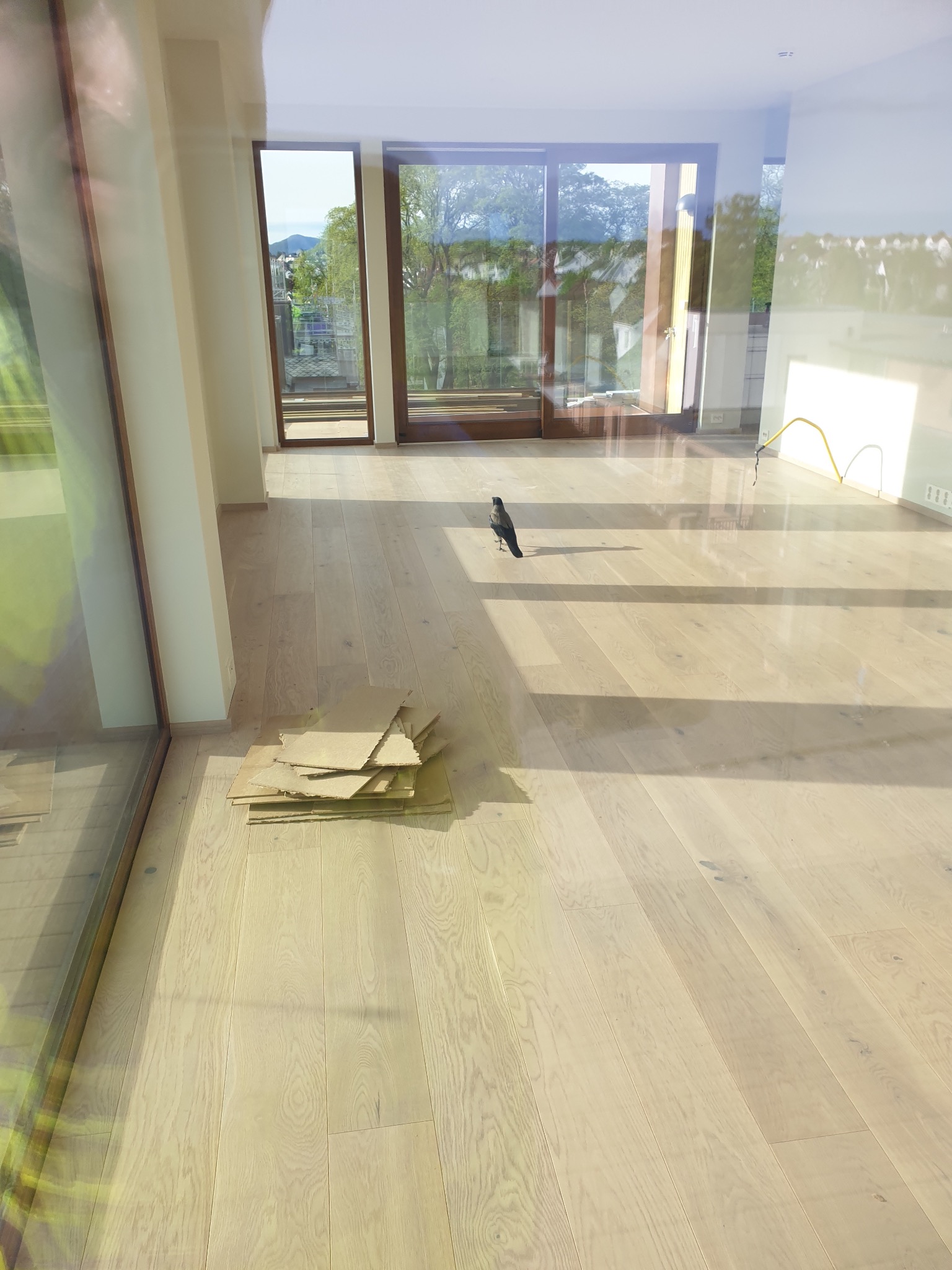 Jasna, drewniana podłoga z ułożonymi płytami ochronnymi i ptakiem w nowym, pustym pokoju z dużymi oknami, odbijającymi krajobraz na zewnątrz.