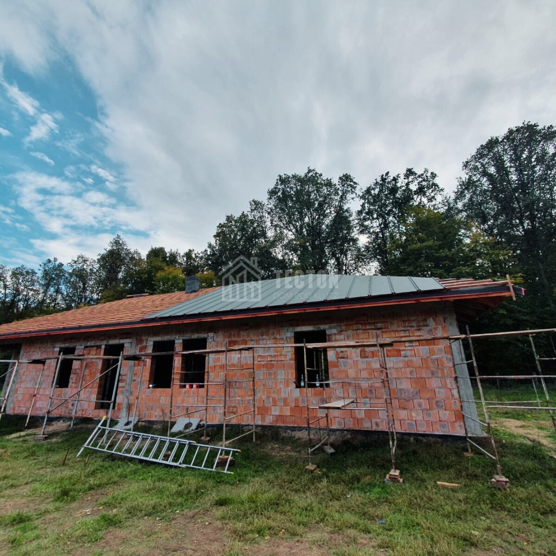 Budowa domu z czerwonej cegły w trakcie realizacji. Częściowo położony dach z blachy na tle zieleni i błękitnego nieba. Widoczne rusztowania i drabina.