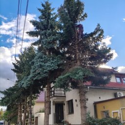 Koszenie trawy Walim 1