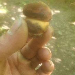 Stanisław Domański - Odśnieżanie Parking&oacute;w Walim