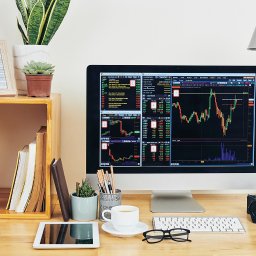 Tworzenie stron internetowych Żagań 1