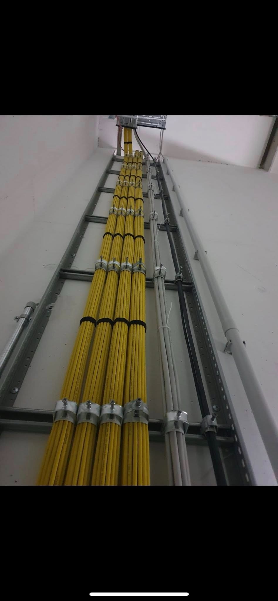 Rząd żółtych kabli elektrycznych, starannie ułożonych na metalowej drabince montażowej, przymocowanych klamrami, na tle białej ściany. Widok z dołu.