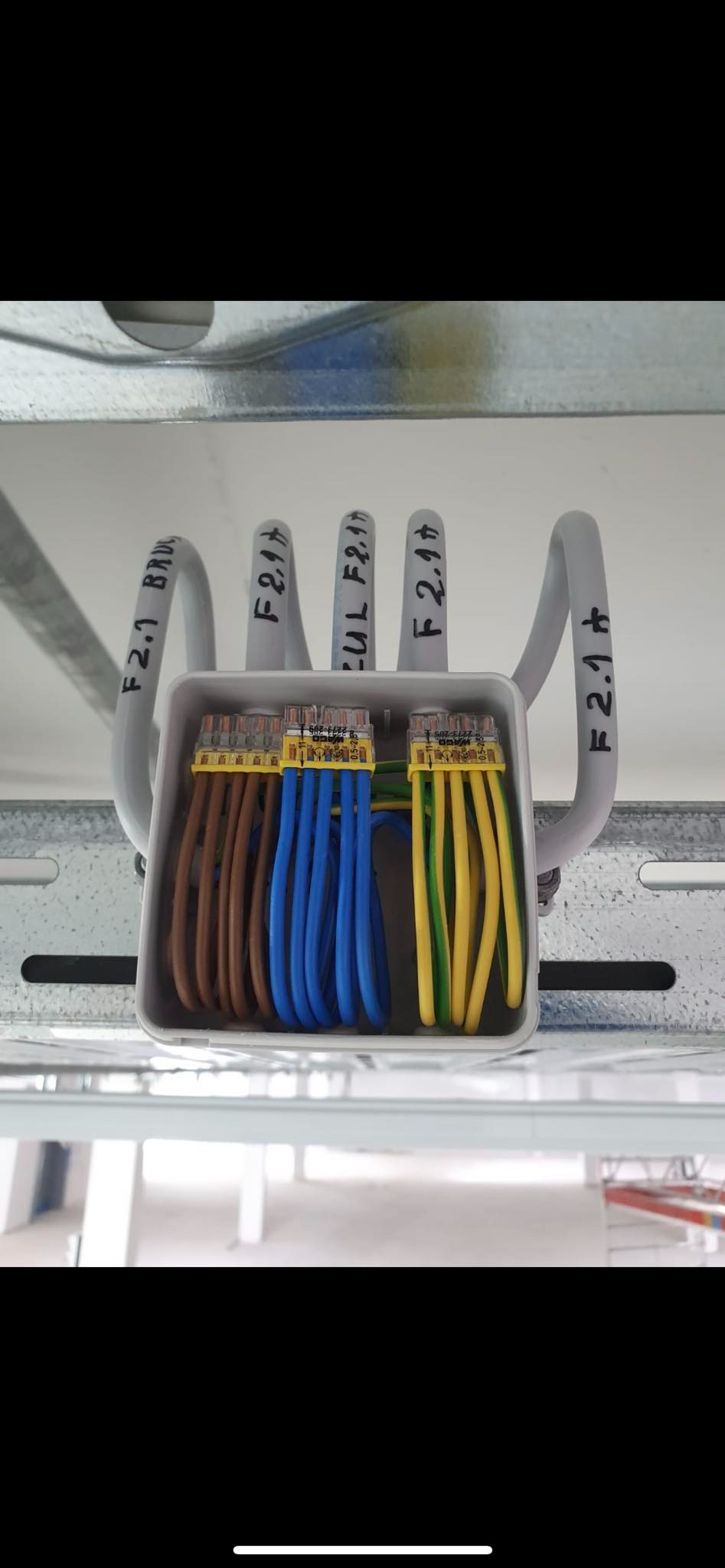 Szczegółowe ujęcie skrzynki złączek WAGO z przewodami: brązowe, niebieskie i żółto-zielone, przymocowanej do metalowej konstrukcji. Oznaczone kable 'F2.1'.