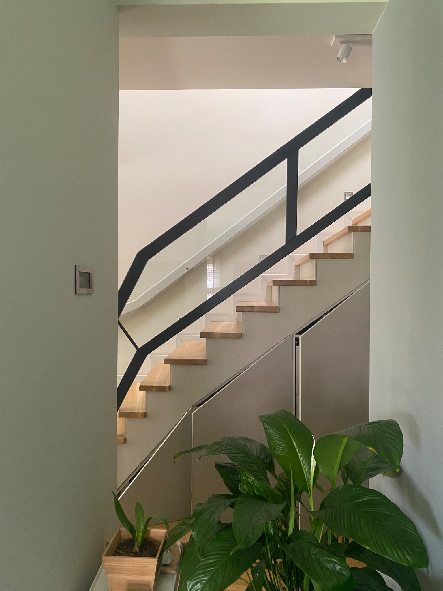 Schody z drewnianymi stopniami i czarną balustradą z elementami szkła, widoczne zza fragmentu ściany, z rośliną doniczkową w dolnej części kadru.