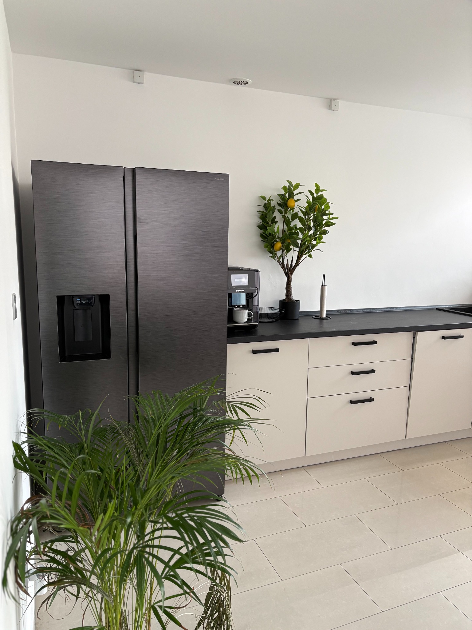 Nowoczesna kuchnia z czarną lodówką side-by-side, kremowymi szafkami, czarnym blatem i roślinami doniczkowymi. Minimalistyczny wystrój wnętrza.