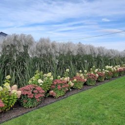 Krzysztof Garstka - Rabata z hortensjami