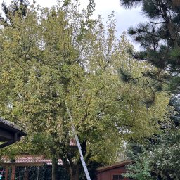 Krzysztof Garstka - Rewelacyjne Przesadzanie Drzew Chodzież